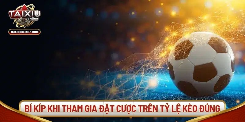 Bí kíp khi tham gia đặt cược trên tỷ lệ kèo đúng