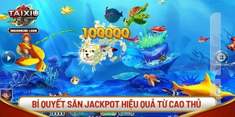 Bí quyết săn jackpot hiệu quả từ cao thủ lâu năm
