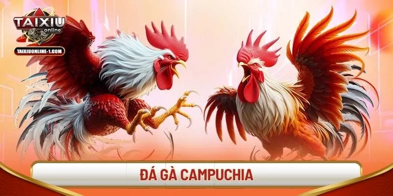 da-ga-campuchia