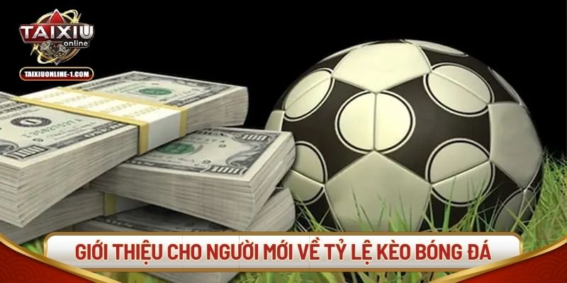 Giới thiệu cho người mới về tỷ lệ kèo bóng đá