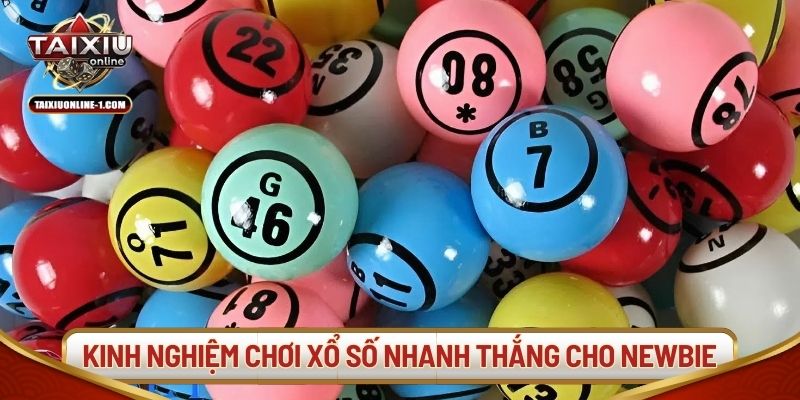 Kinh nghiệm chơi xổ số nhanh thắng cho newbie