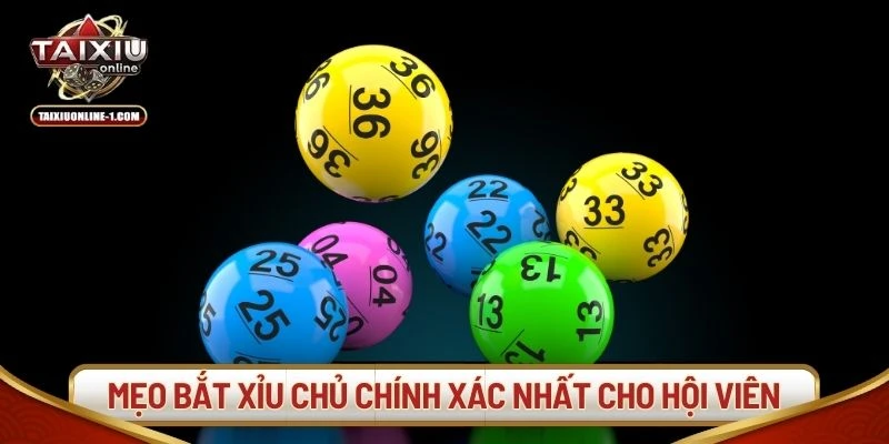 Mẹo bắt xỉu chủ chính xác nhất cho hội viên
