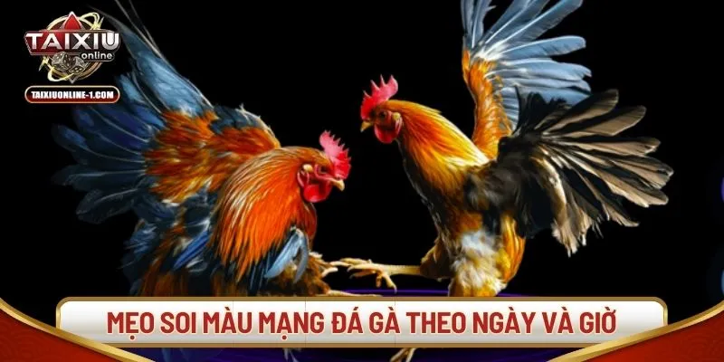 Mẹo soi màu mạng đá gà theo ngày và giờ