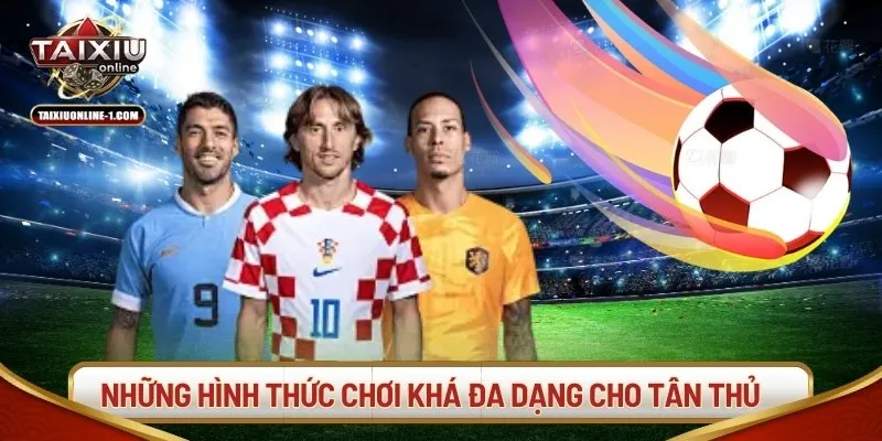 Những hình thức chơi khá đa dạng cho tân thủ