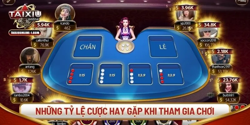 Những tỷ lệ cược hay gặp khi tham gia chơi