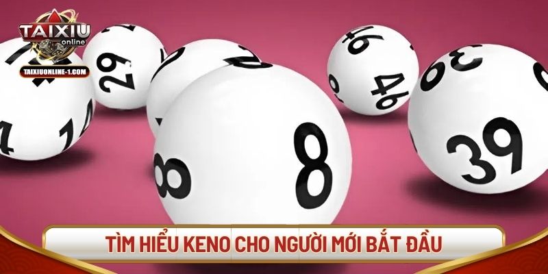 Tìm hiểu xổ số cho người mới bắt đầu
