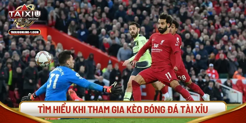 Tìm hiểu kỹ lưỡng cho tân thủ khi tham gia kèo bóng đá tài xỉu