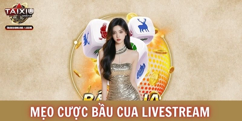 Mẹo cược Bầu Cua Livestream